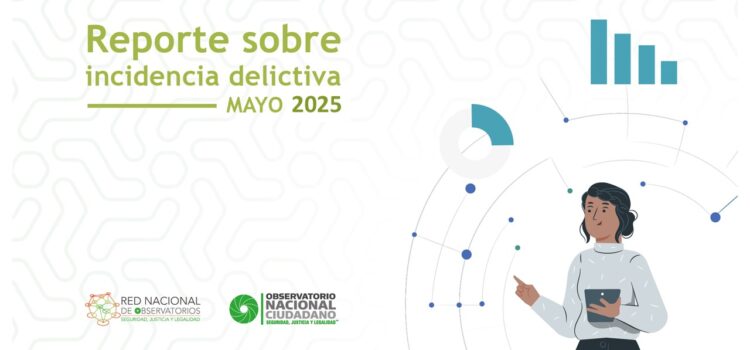 Reporte de incidencia delictiva municipal Irapuato mayo 2025