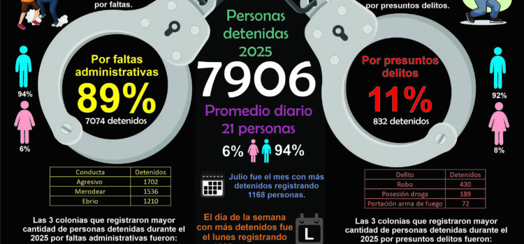 Reporte de personas detenidas durante el 2025 en Irapuato